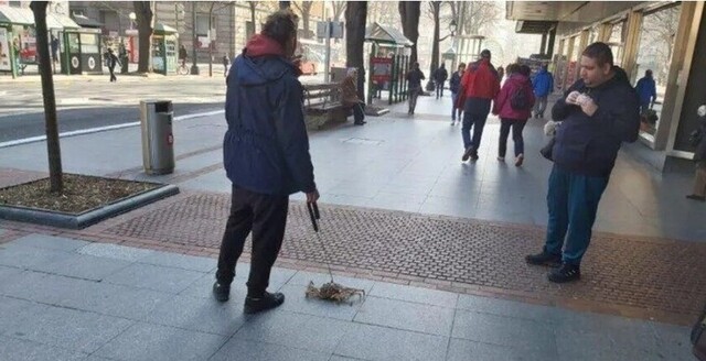 Sacó a pasear a su cangrejo y fue viral