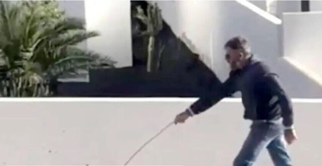 Violó cuarentena para pasear a su gallina