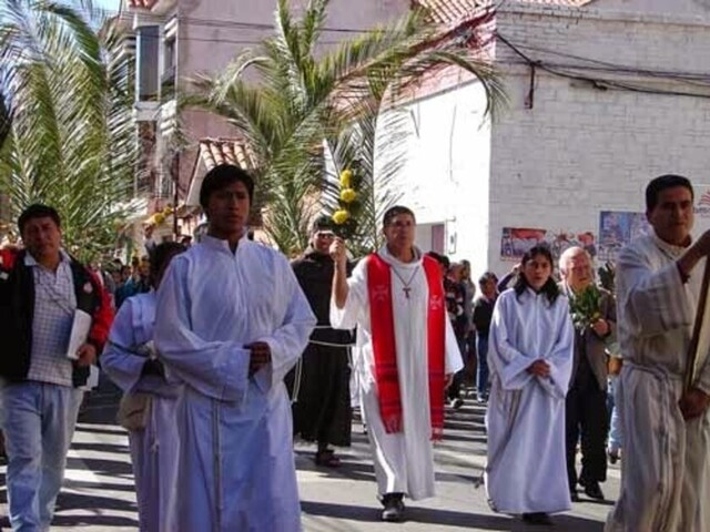 Las palmas estarán ausentes en este Domingo de Ramos