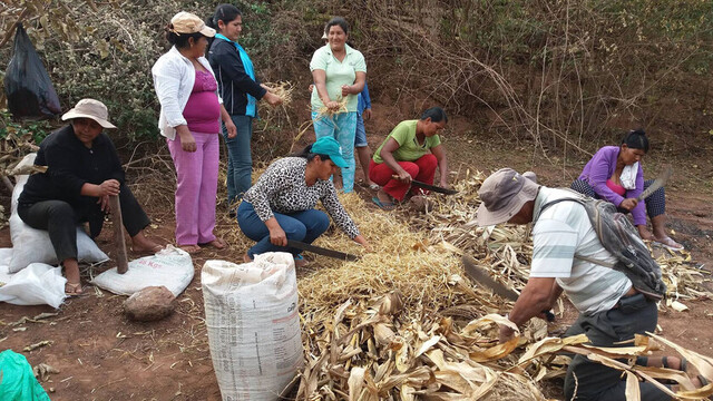 Tarija está por superar los casos de dengue del 2019