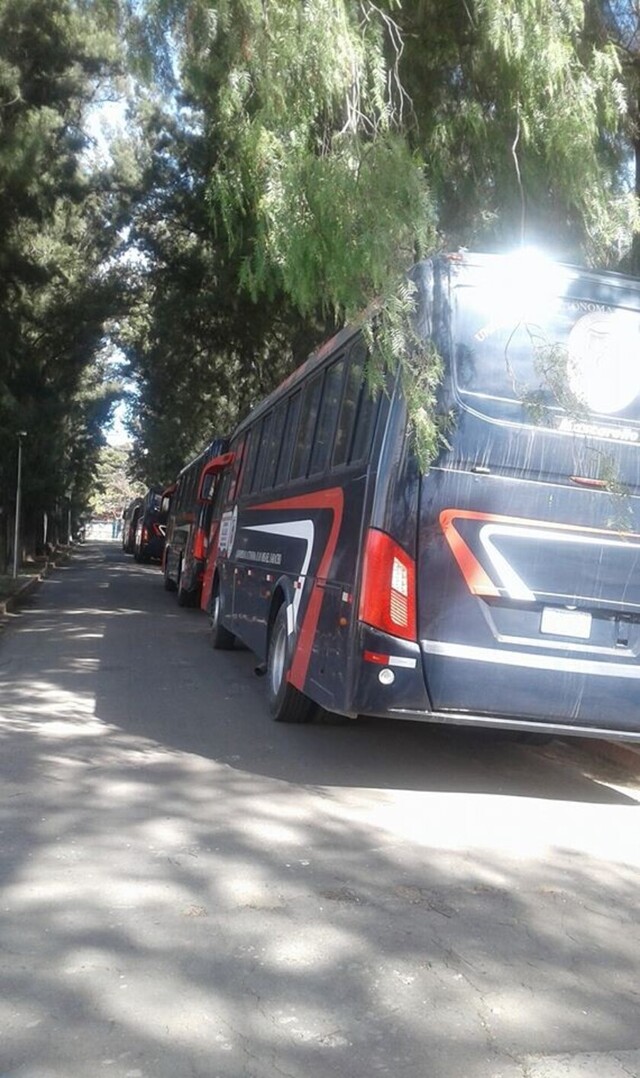 Alcaldes en Tarija esperan instrucción del COED para recibir a universitarios