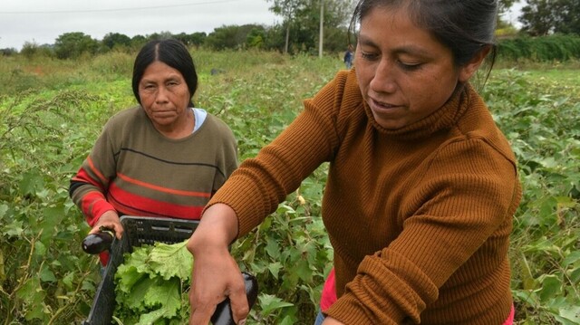 60 bolivianos en Salta esperan certificado para ser repatriados