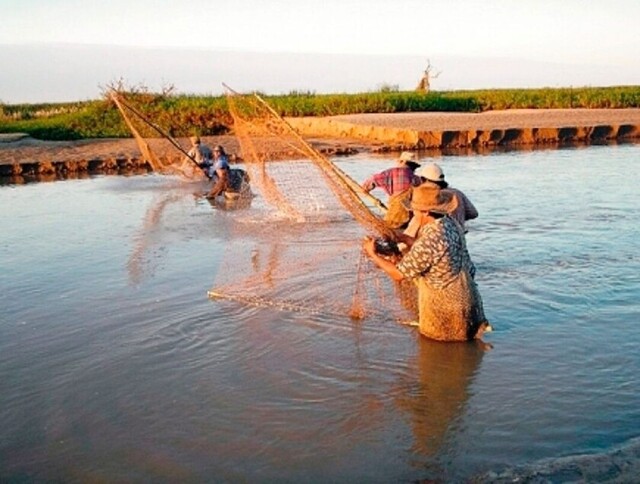 Veda y cuarentena impiden venta del pescado de los Wenhayeek