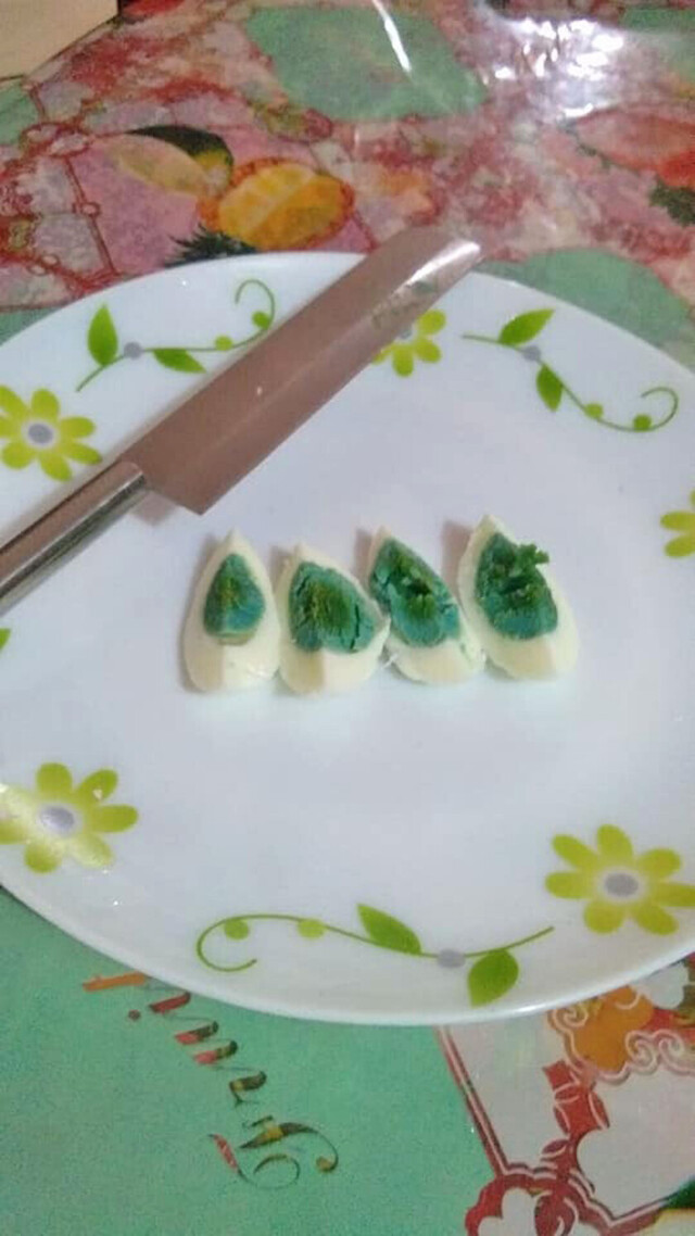 Gallina puso huevos con  yema verde