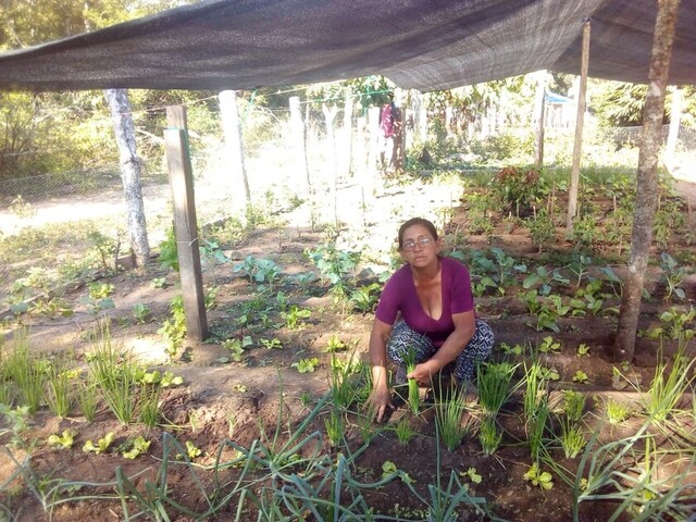 Guaraníes lanzan concurso de huertos familiares