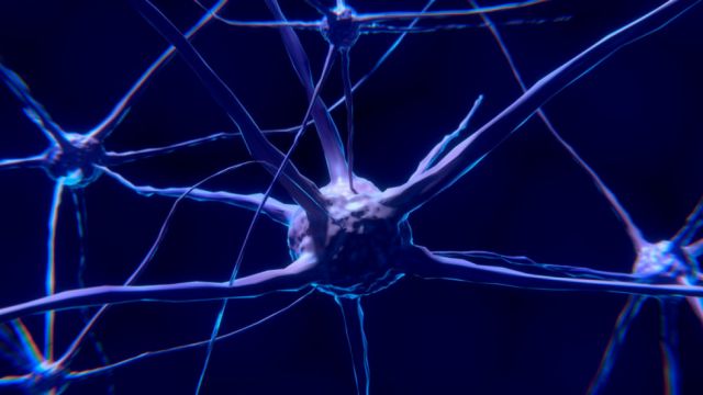 Científicos rediseñan una proteína para combatir el cáncer o regenerar neuronas