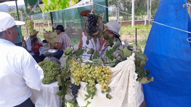 Concejo plantea ley de fomento a la producción local en Tarija