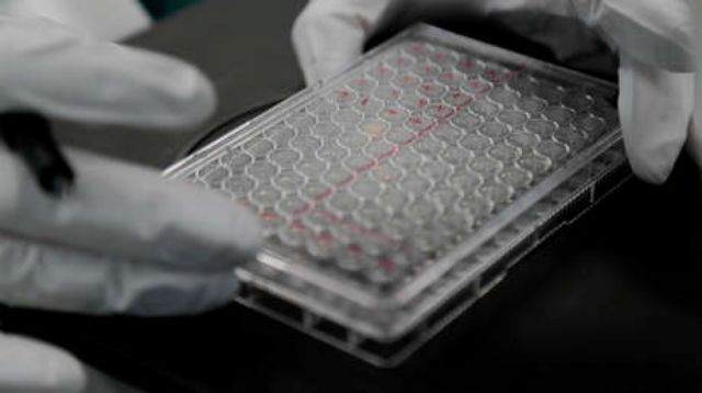OMS descarta una vacuna contra el coronavirus en 2020