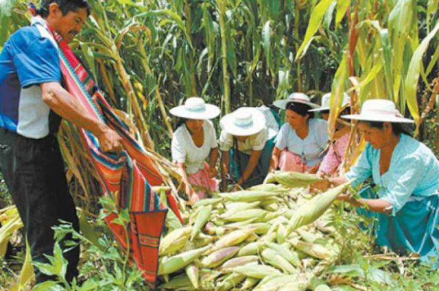 Revendedores ofertan productos  agrícolas al doble del precio