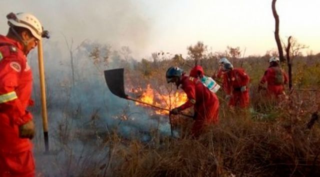 Bolivia acumuló en mayo 6.300 focos de quema