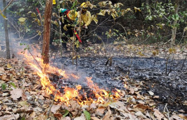 Cejis reporta más focos de calor en territorios indígenas de tierras bajas respecto a 2019