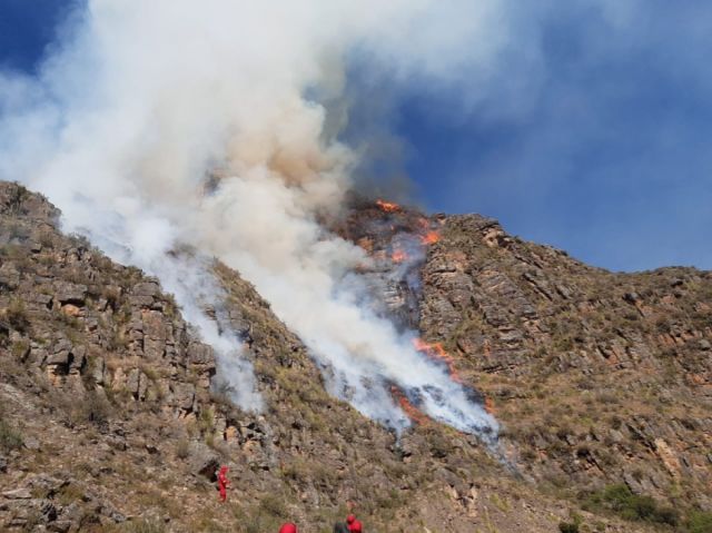 Incendio en Cañas quemó cerca de 400 hectáreas