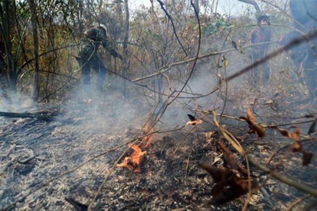 Se registró un incendio en Erquis Ceibal