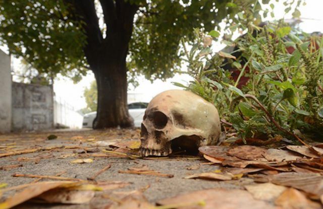 Vecinos encuentran cráneo humano en plena vía pública