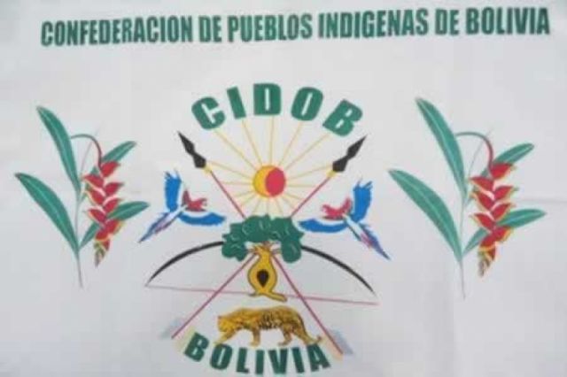 La mitad de los integrantes del directorio de la CIDOB dan positivo a Covid