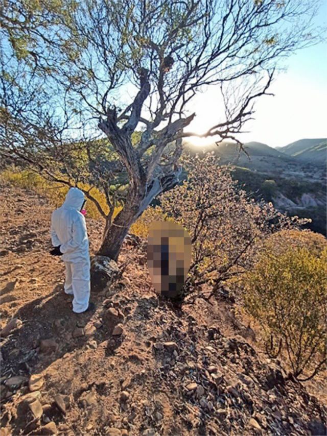 Autor de feminicidio se  suicida y el caso extingue 