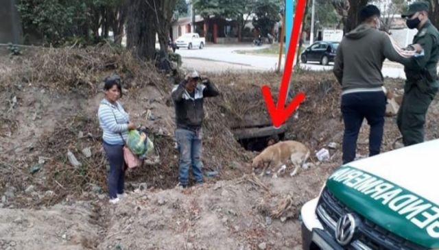 Tres bolivianos ingresaron por un desagüe a Argentina, los deportaron