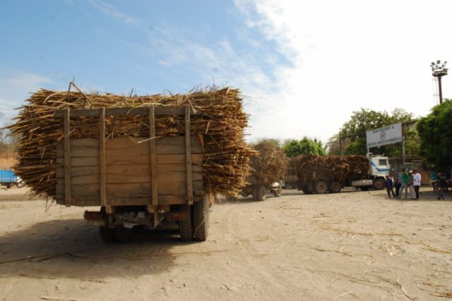 Presentan protocolo sanitario para la zafra 2020