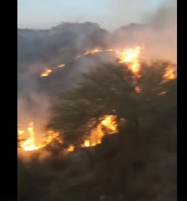 Incendio en Tolomosa Oeste consumió 25 hectáreas