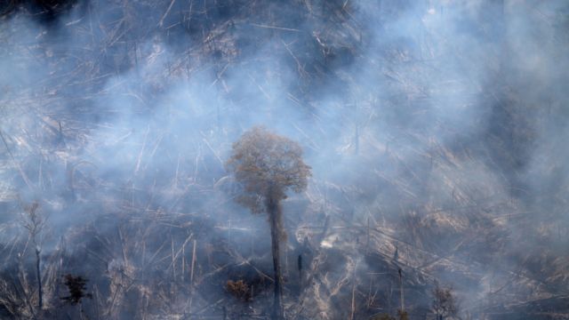 Incendios en el Pantanal brasileño crecen un 200% en comparación con el año pasado