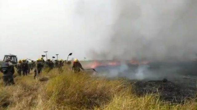 Fuego en el Parque Otuquis reactiva la alerta en Bolivia 