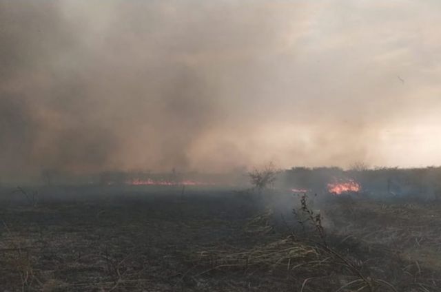 Ministra anuncia ‘mano dura’ contra los autores de la quema de bosques