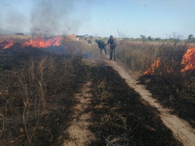 Sofocan dos incendios en un día en Bermejo 