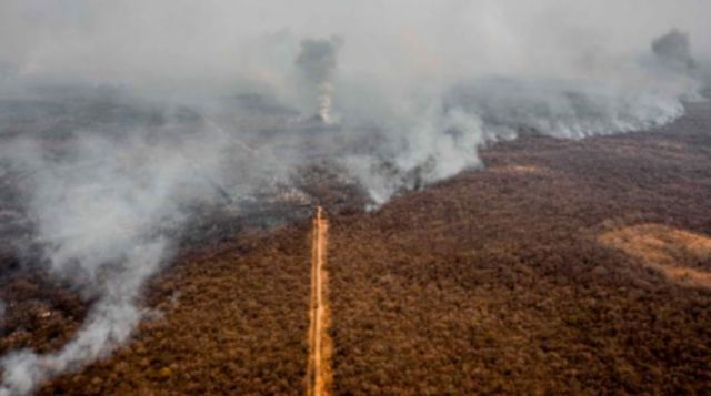 TIDN pide a Áñez un informe sobre las normas ‘incendiarias’