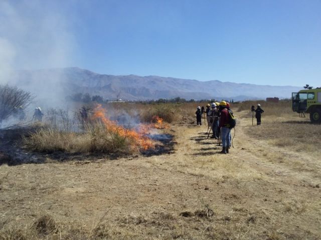 Bomberos piden al gobierno luchar contra los incendios 