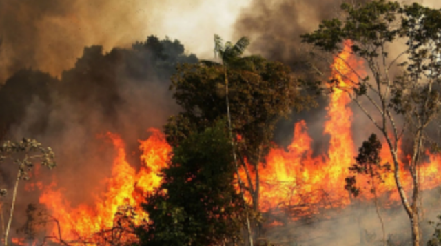 La alerta crece, suben los focos de calor en Bolivia