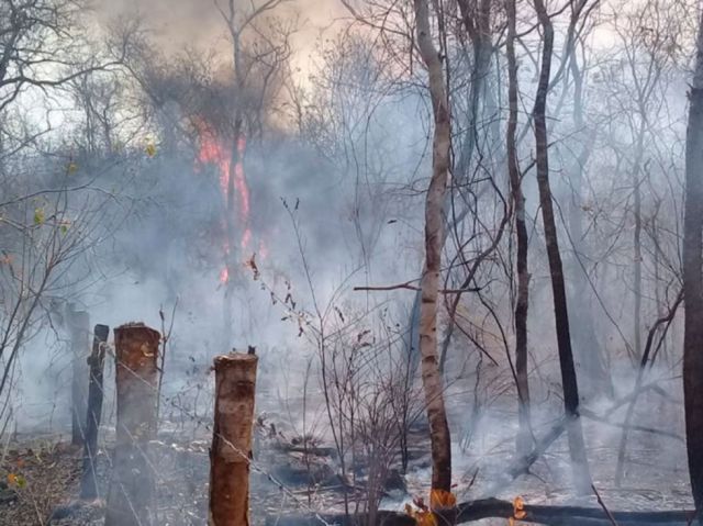 Beni: disminuyen los focos de calor