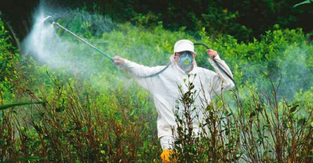 Colombia: rechazan la fumigación de  campos con glifosato