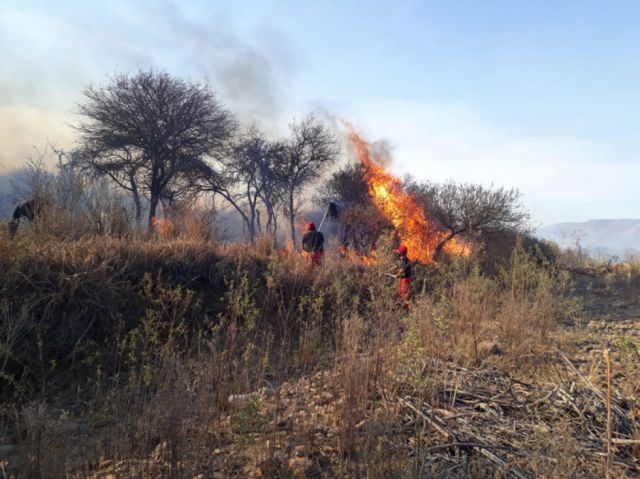 Fuego quemó 35 hectáreas en Monte Cercado