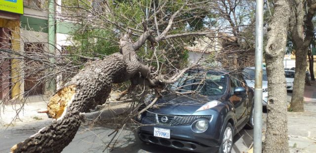 Mala calidad del aire, cortes de luz y árboles caídos este martes en Tarija