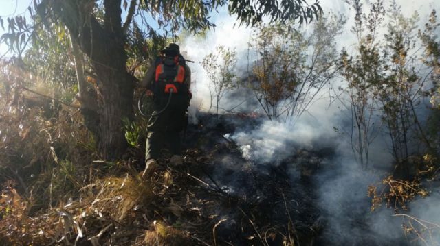 Los incendios arrasan con 70 ha del Parque Tunari