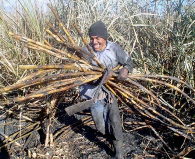A días de iniciar la zafra en Bermejo, YPFB no asegura abastecimiento de gas