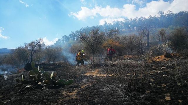 Gobernación de Cochabamba vigilará con drones el Parque Nacional Tunari para prevenir incendios