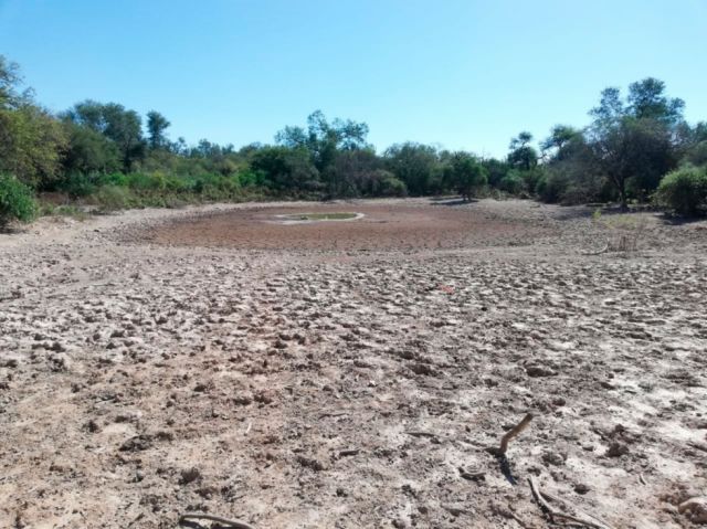 Prometen Bs 6 MM para atender sequía en el país