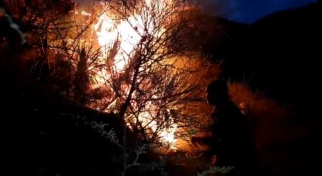 Tras cinco horas, fuego en Pajchani-Tarija no da tregua
