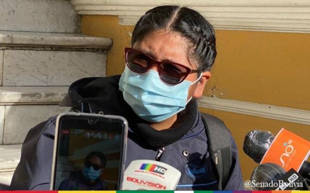 Senado prepara acción de cumplimiento para que el Ejecutivo informe sobre el destino de créditos y donaciones