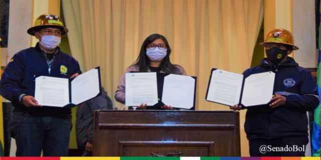 Copa promulga siete leyes que aprueban 176 contratos mineros