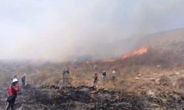 Dos incendios en Cochabamba consumen 118 hectáreas de vegetación