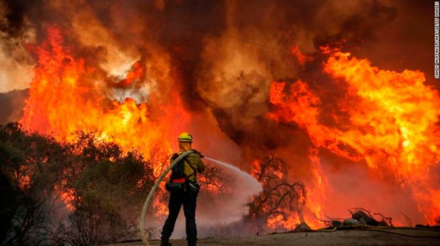 Rescatan a 80 personas de incendio forestal en EEUU