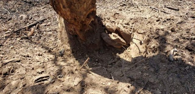 Las cápsulas fueron detonadas 