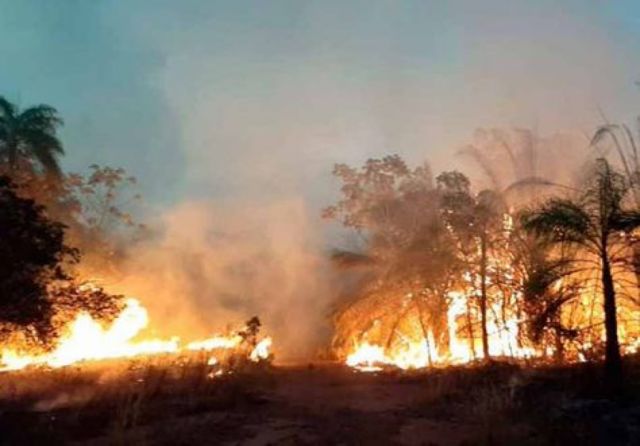 Gobierno registra incendios activos al menos en seis municipios de Santa Cruz