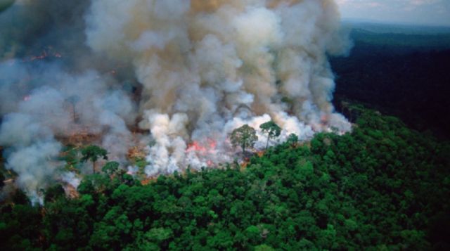 Gobierno registra al menos 500 mil hectáreas afectadas por los incendios en todo el país