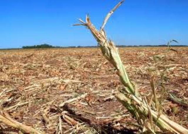 Subgobernación de Cercado realiza la limpieza de atajados en el área rural para mitigar la sequía