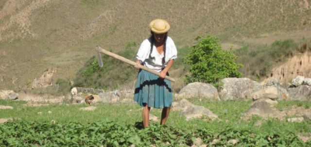 Comunidades de Tarija que hicieron "mal uso del Prosol" no recibirán el beneficio