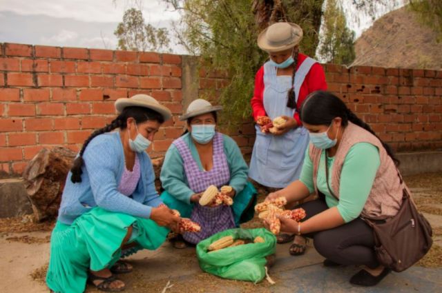 Reactivación agropecuaria en Tarija inició en Sella Las Quebradas  