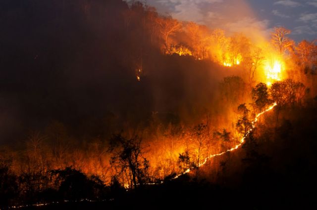 Sacrificio, bomberos reviven el incendio de la Chiquitanía
